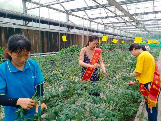 十大菠菜平台排名