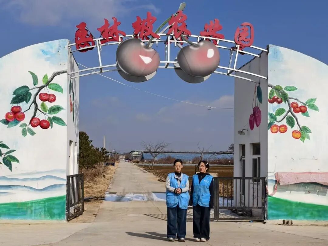 十大菠菜平台排名